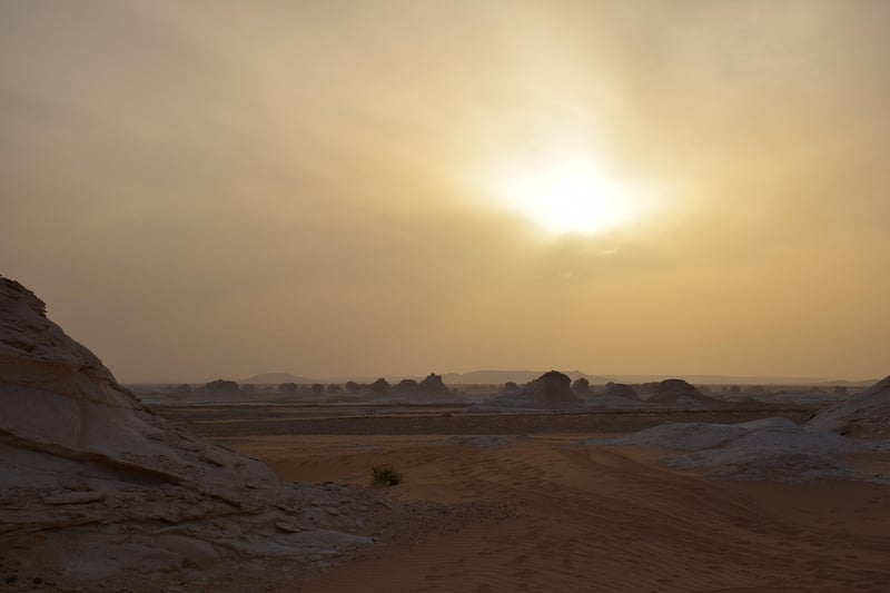 Desert Oases